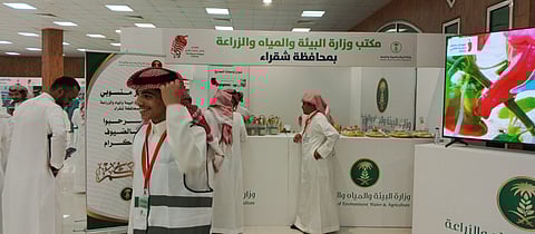 جناح مكتب وزارة البيئة والمياه والزراعة بمحافظة شقراء بمهرجان الفلفل