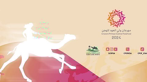 غداً ختام المرحلة التمهيدية من مهرجان ولي العهد للهجن في نسخته السادسة