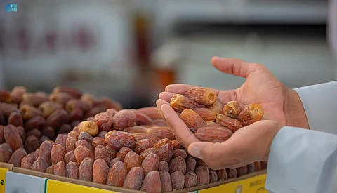 خلال أغسطس.. "الزراعة": المملكة تحقق نسبة اكتفاء ذاتي من التمور بلغت 124%