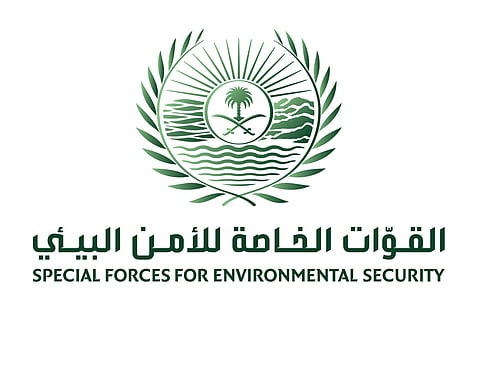 "الأمن البيئي": المحتوى المرئي المتداول لأسود في مكان عام تمت مباشرته في حينه