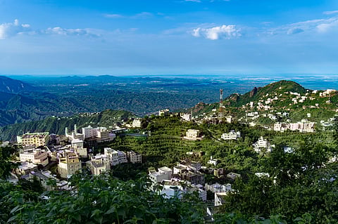 محافظة فيفاء تكتسي بالأخضر