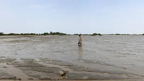 سيول بورتسودان