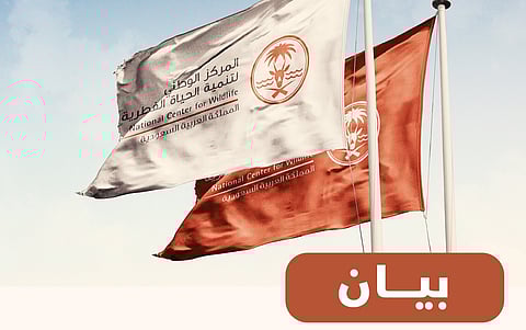 انطلاق موسم الصيد في المملكة الأول من سبتمبر المقبل