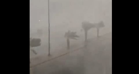 "متحدث الأرصاد": المدينة المنورة سجلت أمس سرعة رياح بلغت 100 كم/س