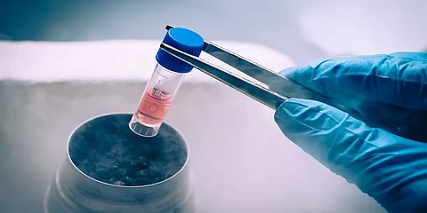 عطاء آخر خارج فصول الدراسة.. معلمة من تيماء تنقذ مريضًا بتبرعها بالخلايا الجذعية