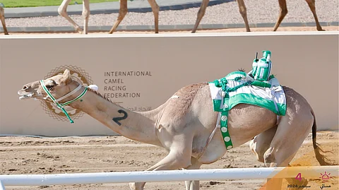 مهرجان ولي العهد للهجن: "شوق" تظفر بتوقيت "اللقايا" الأفضل