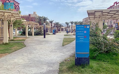 مكة المكرمة تستقبل الأجواء المعتدلة بإقبال كبير على المتنزهات والحدائق العامة