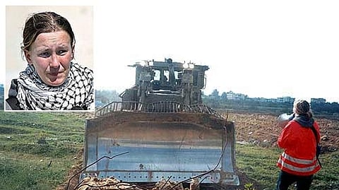 عائشة وراشيل وشيرين.. أمريكيات قُتِلن بأيادٍ إسرائيلية بدمٍ بارد في فلسطين