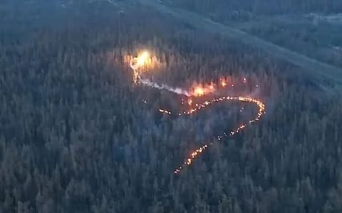 "ابتكار مرعب".. أوكرانيا تطلق أسطولًا من "مُسَيرات التنين" ضد القوات الروسية المتخفية في الغابات