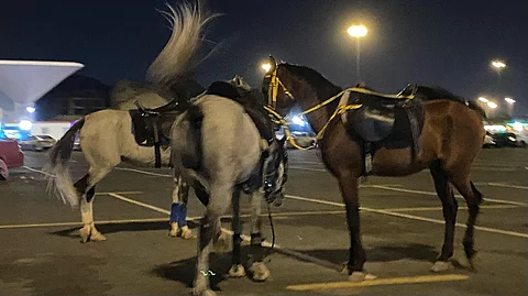 شاهد.. الحمير وعربات الخيول تثير استياء زوَّار ومرتادي حجز الشرائع بمكة