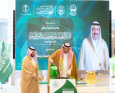 بعد "حائل".. هيئة تطوير المناطق الجبلية بجازان تبدأ زراعة "الصندل" في الباحة