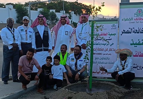"الطائف الخضراء" وأمانة المحافظة تشجر حي الوسام بأكثر من 3 آلاف شجرة