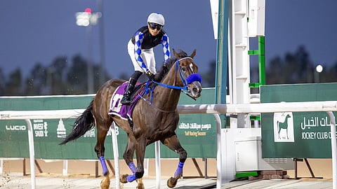 بميدان الملك خالد بالحوية.. الجواد "سلام الخير" يخطف كأس الطائف