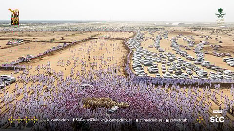 "نادي الإبل" يكشف عن "34" حالة عبث في الفئات المشاركة بمهرجان الطائف