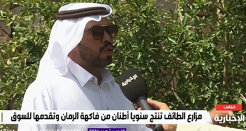 بدأ تقليمه قبل 4 أشهر.. 40 كلجم متوسط إنتاج شجرة الرمان سنويًّا بالمملكة