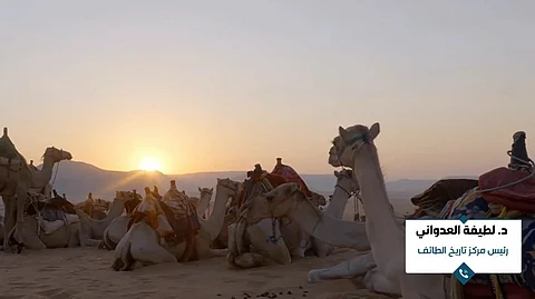 متى ظهرت الإبل بالجزيرة العربية؟.. "العدواني" تُبرز ما كشفته البحوث والنقوش!