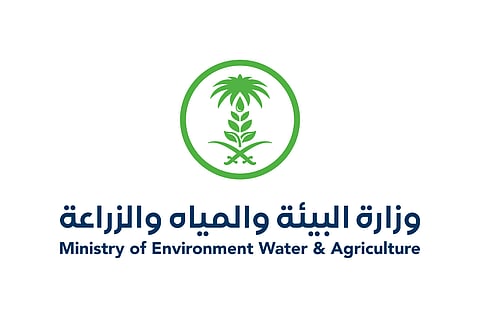 لتلبية الطلب المتزايد.. تعاون محلي لتعزيز توطين زراعة وإنتاج الورد في المملكة