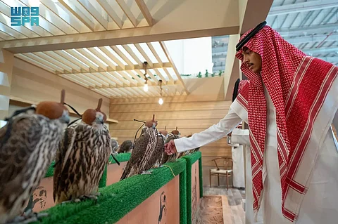 "الصقور" تتصدر المشهد في معرض الصقور والصيد السعودي الدولي 2024