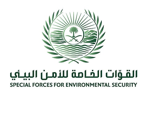ضبط "3" مقيمين مخالفين لتلويثهم البيئة بحرْق مخلّفات عشوائية بمكة المكرمة