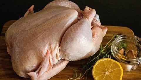 "الغذاء والدواء": صلاحية الدجاج في غلافه تمتد لأسبوع.. وتحذّر من خطر التلوّث بعد فتحه