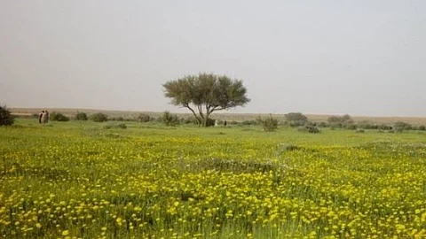 غداً أهم مواسم السنة.. "الزعاق": ترحال إلى المرعى وفي نهايته نلبس الشتوي!