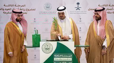 نائب أمير مكة يدشن المرحلة الثالثة لمشروع زراعة أشجار العود بالمنطقة