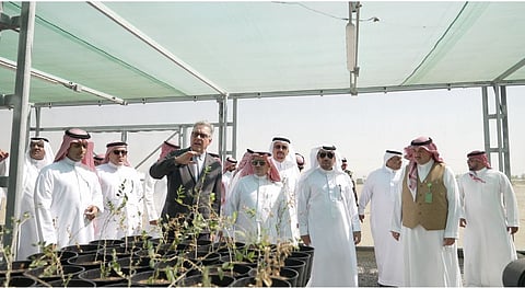 "الغطاء النباتي" وجامعة كاوست يفتتحان محطة أبحاث للتجارب الحقلية والمرصد البيئي بوادي قديد