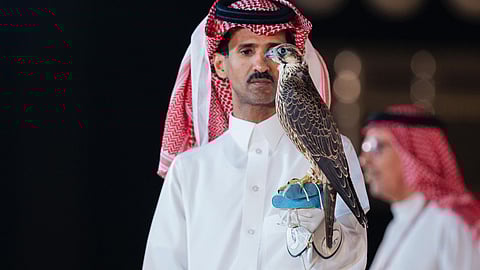 بيع 3 صقور في الليلة الخامسة لمزاد نادي الصقور السعودي 2024