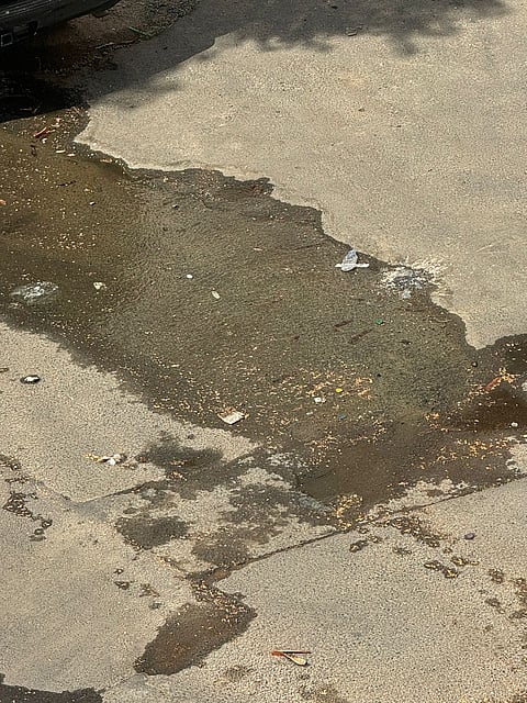 تسرب مياه تحت الأرض يهدد سكان حي "جفيجف الطائف"