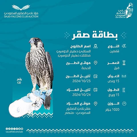 الأغلى قيمة في مزاد نادي الصقور السعودي 2024م.. بيع صقر "شاهين فرخ" بمبلغ 400 ألف ريال