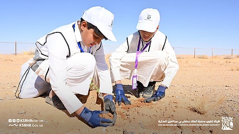 هيئة تطوير محمية الملك سلمان تزرع 5000 شجرة في مسيج أبو عجرم