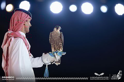 صفقات مميزة للشاهين.. مزاد نادي الصقور يُحقِّق أكثر من نصف مليون ريال في ليلته السابعة