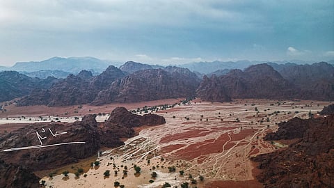 شاهد.. أمطار حائل في بداية الوسم.. والأهالي يستبشرون