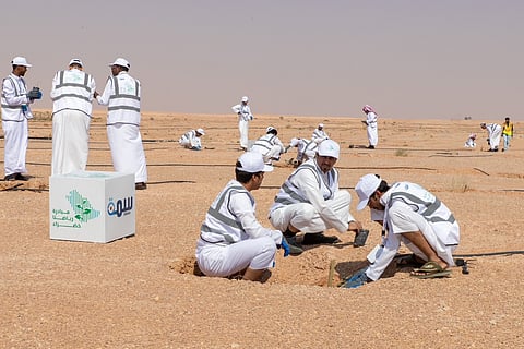 "سمة" تطلق مبادرة "رياضنا الخضراء" بزراعة 5000 شجرة