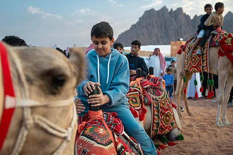 فعالية "الركايب" بحائل تحظى بتفاعُل كبير من زوَّار مهرجان "وادي السلف"