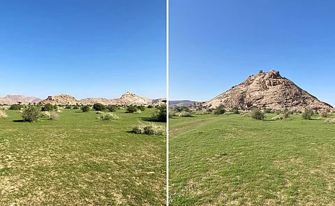 بالصور.. بواكير الربيع تُزيِّن جبال "قطن" بعد موسم ممطر
