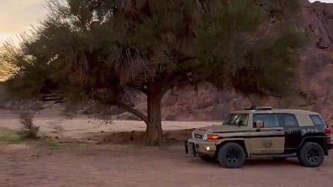 دورية القوة الخاصة للأمن البيئي