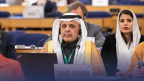 رميح الرميح