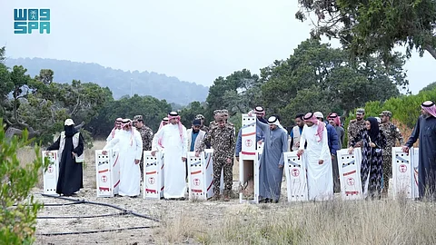 لتعزيز التنوع الأحيائي.. "الحياة الفطرية" تطلق 26 كائنًا مهددًا بالانقراض في متنزه السودة