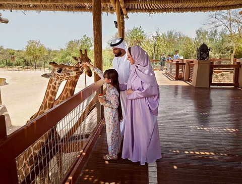 مُدرجة ضمن قائمة "اليونسكو" لمواقع التراث العالمي.. "العين": أنشطة متنوعة في أحضان الطبيعة