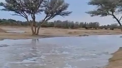 إجازة وطقس جميل.. هطولات شتوية تستهوي سكان العاصمة بمشاهدها الخلابة وتجذب عشاق البر