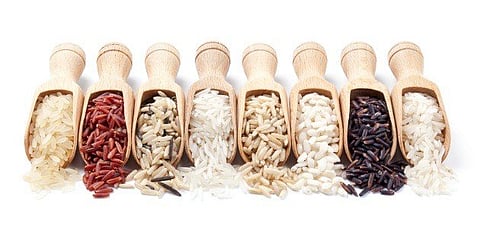 أحد منتجات الحبوب الكاملة.. علماء: هذا نوع الأرز الأكثر فائدة للصحة وطريقة طهيه