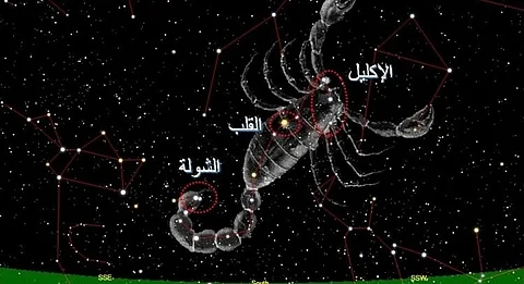 "الحصيني": "المربعانية" تبدأ غدًا.. وتوقعات بأمطار أكثر وبرودة أشد هذا العام
