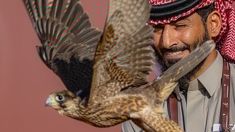 182 صقارًا من الهواة السعوديين يتنافسون في اليوم الرابع لمهرجان الملك عبدالعزيز للصقور 2024