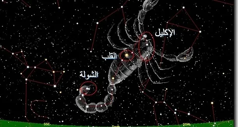 المسند: الشتاء يطرق الأبواب.. وغداً الانقلاب الشتوي وانتهاء فصل الخريف