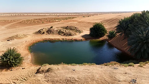 واحة في قلب الصحراء.. "بحيرة برودان".. لوحة خلابة بين نخيل ورمال جنوب شقراء