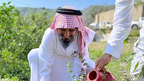 جمعية النحالين برجال ألمع تطلق مبادرة زراعة 1000 شجرة سدر بوادي حسوة