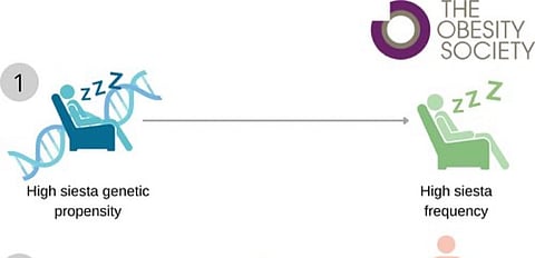 "استمع لجسمك".. "القيلولة قد تكون مفتاح صحتك"