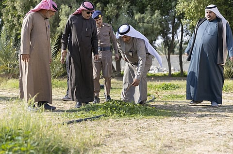 شاهد.. مباشرة ميدانية وحصر لـ"آثار موجة الصقيع على مزارع حفر الباطن"