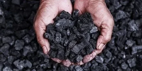 توجّه جديد لتحسين خواص التربة الزراعية واحتجاز الكربون.. ماذا تعرف عن "الفحم الحيوي"؟!